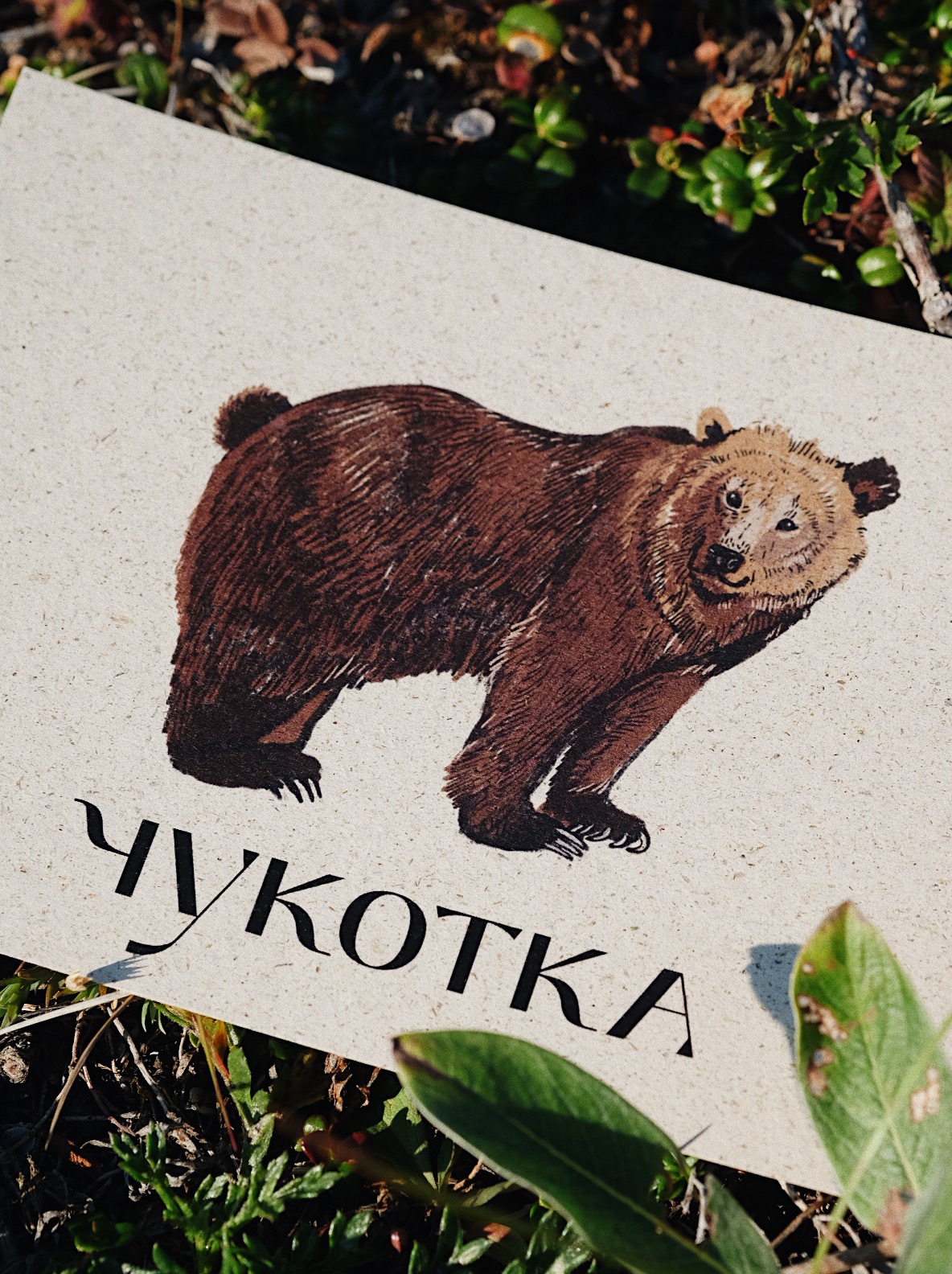 Привет из Санкт-Петербурга - Интернет-магазин - Почтовые открытки для посткроссинга